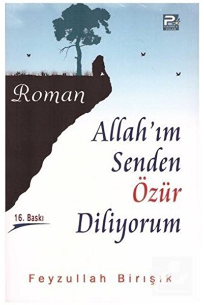 Karınca & Polen Yayınları Allah'ım Senden Özür Diliyorum