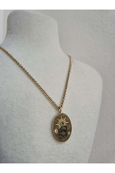 Haze Non-Tarnish Steel Snake Plate Necklace