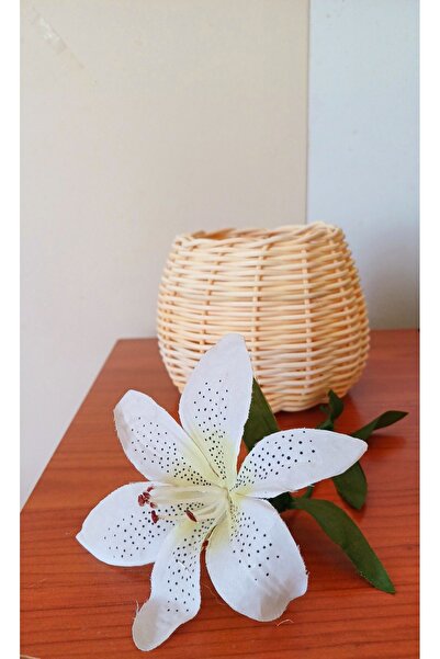 Ebruli Rattan Sepet 10x10 cm bilgisini sahiptir