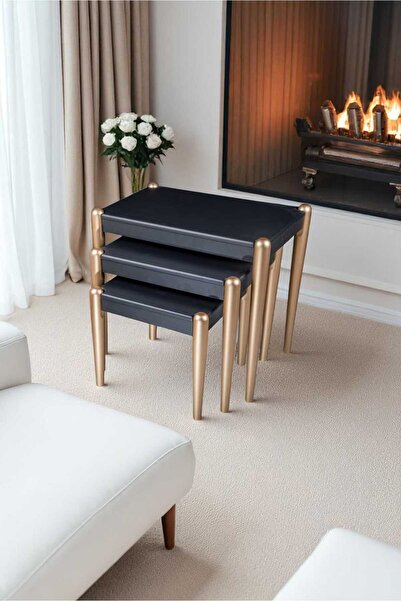 Akabesan Aksesuar Defne Serisi Dekoratif Siyah Gold Ayaklı 1.sınıf Kayın Ağac...