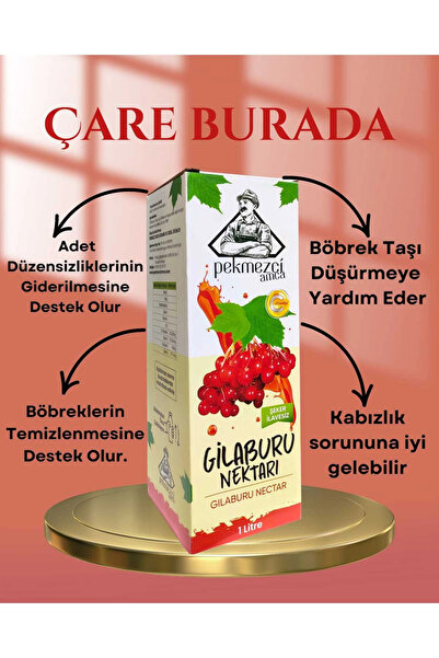 Çare Burada Gilaburu Nektarı 1 Litre