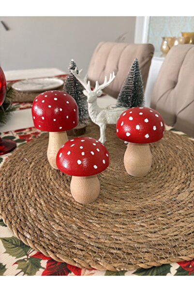Ayd Home 3 lü ahşap mantar dekorasyon sunum kırmızı 10-8-6 cm mushroom kahve ...