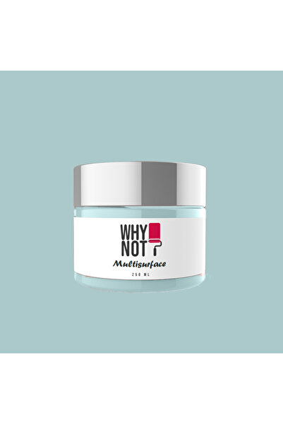 WHY NOT Tropical Breeze Multisurface Kendinden Vernikli Akrilik Boya 250ML