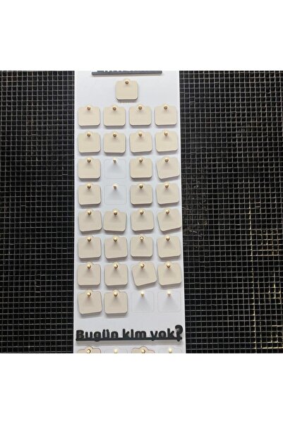 14lazerkesim UV BASKI İNGİLİZCE TAKVİM SETİ SINIF ÜRÜNLERİ