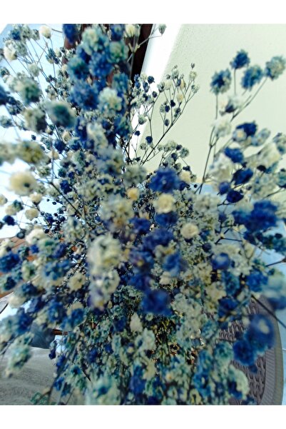 Esse Bahçe Şoklu Cipso Lacivert