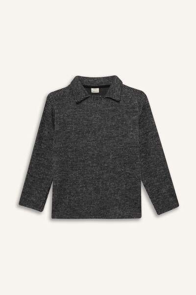 DeFacto Boy's Polo Neck Sweatshirt G2739A825Wn
