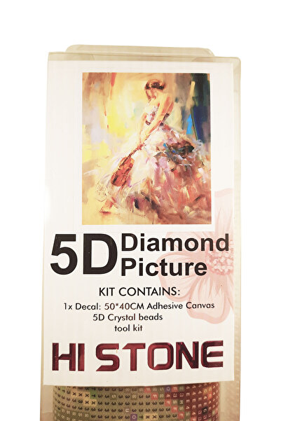 histone 5D Elmas Taş İşleme Kiti 40x50 cm Keman ve Kadın Desen