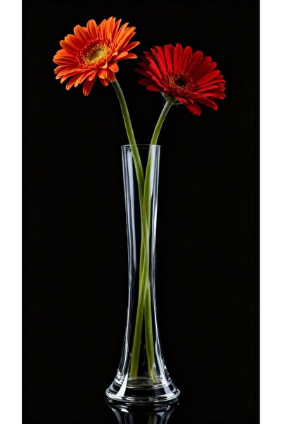 Paşa Cam Vas decorativ pentru trandafiri Seria Noua 30 cm Lungime