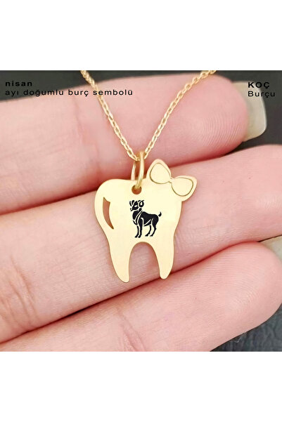 ARCHINO GOLD Altın Plakalı 14 Ayar Koç Burçlarına Özel Diş Ve Fiyonk Motifli Zincirli Kolye-450burç-altın