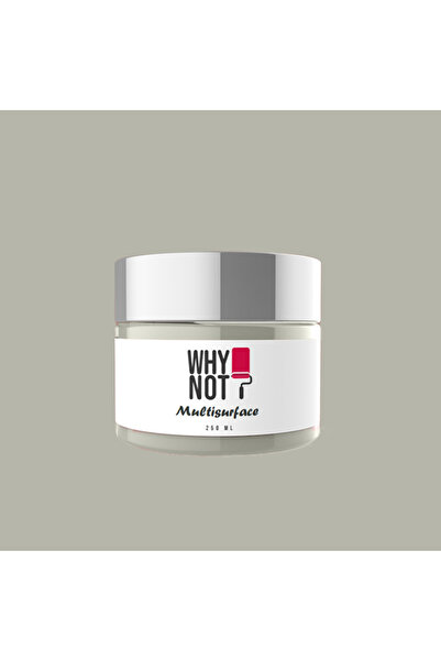 WHY NOT Uplifting Multisurface Kendinden Vernikli Akrilik Boya 250ML