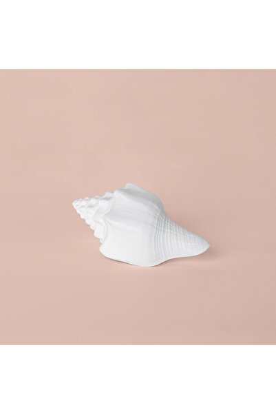 Linens Conch 18x9x8 cm Dekor Beyaz