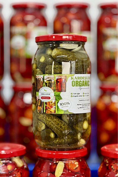 Kardeşler organik Kornişon turşu 1350gr