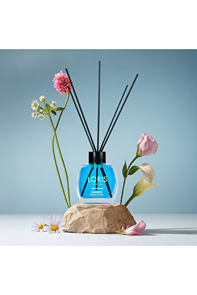 Loris Okyanus Esintisi 120ml Oda Kokusu