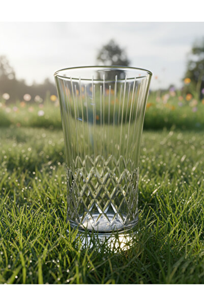 DECOSTYLE Pasabahce 420055 300Cc Water Glass 6 Pieces N19