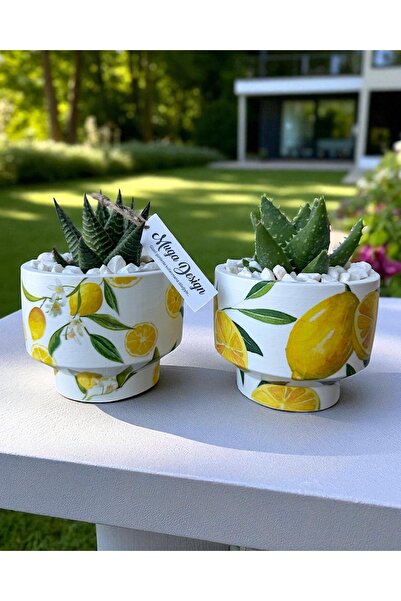 muga design Amalfi Limon Desenli 2’li Beton Saksı Seti (Bitkili)