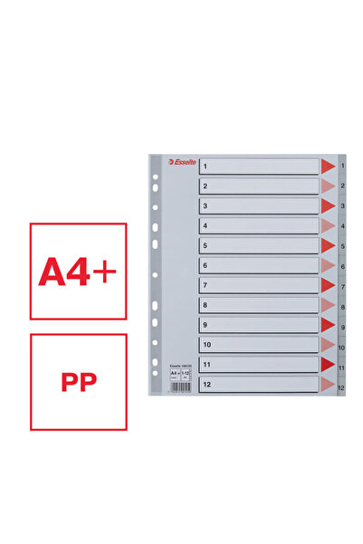 Esselte index, plastic, , A4 MAXI, 1-12, grey