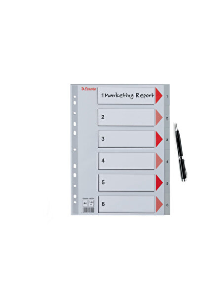 Esselte index, plastic, , A4, 1-6, grey