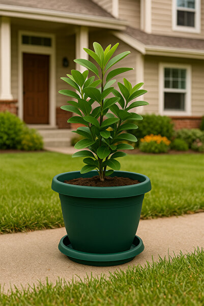 TEMMUZ HOME 1 Adet No7 8.8lt Tabaklı Mat Plastik Büyük Boy Ev Ofis Bahçe Saks...