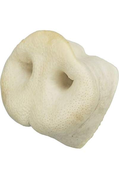 Trixie Rat De Porc Uscat, 1 buc, 2722