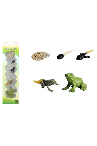 Toy Toy Toy Mini broască din plastic, figurină animală, ciclul vieții, figuri...