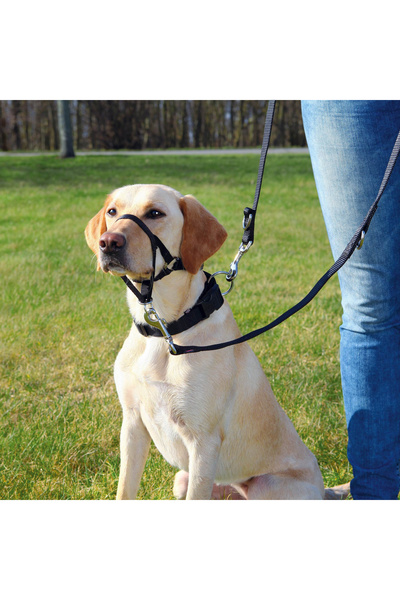 Trixie Botnita Pentru Dresaj, Top Trainer, M: 27 cm/40-48 cm, Negru, 13003