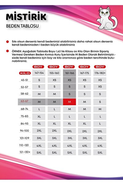 MİSTİRİK Porfy Model 3 Zone Effective Laser Cut Biker Leggings Long Corset Gray Color