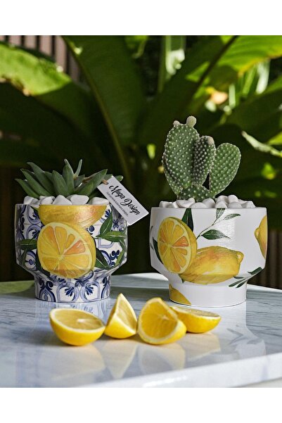 muga design Amalfi Limon Desenli 2’Li Beton Saksı Seti