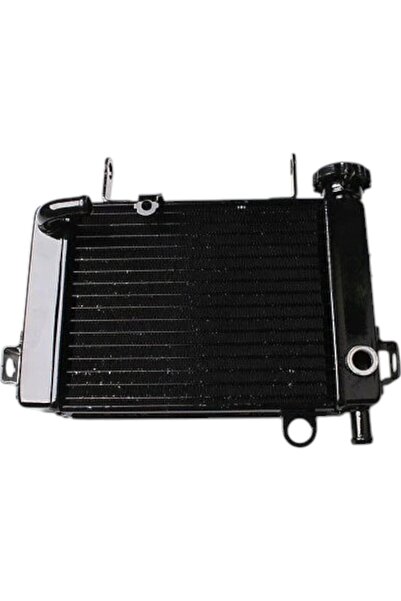 EVO MOTORS Radiator Honda CBR125R 2004-2011