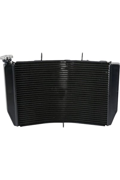 EVO MOTORS Radiator Honda CBR954 CBR 954RR 2002 2003