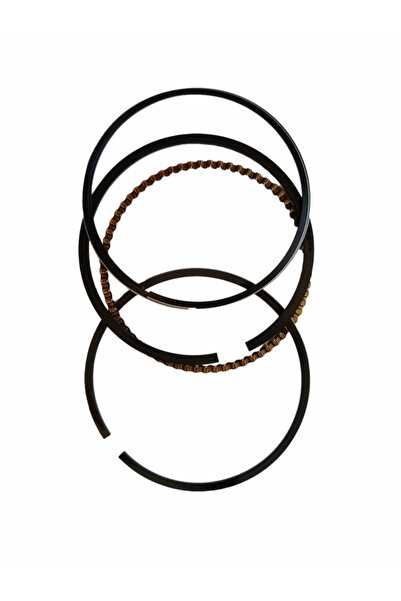 brg piston pentru motor motopompa
