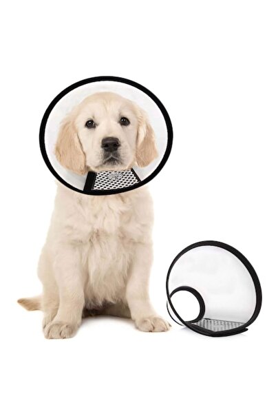 zioda smart essentials Zgardă conică de protecție pentru animale de companie - - Mărimea S