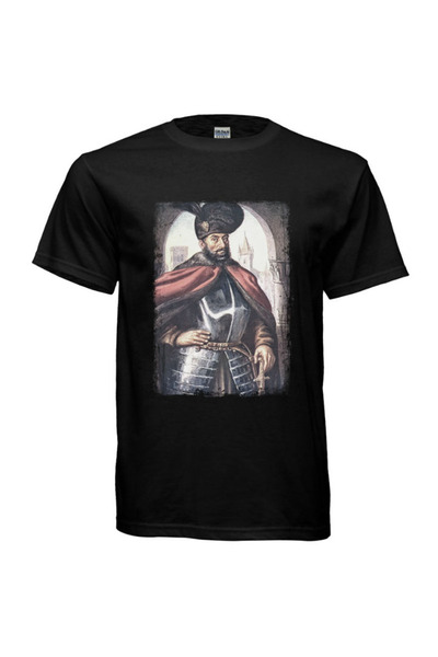 Leistung C&R Tricou Mihai Viteazul, pictura