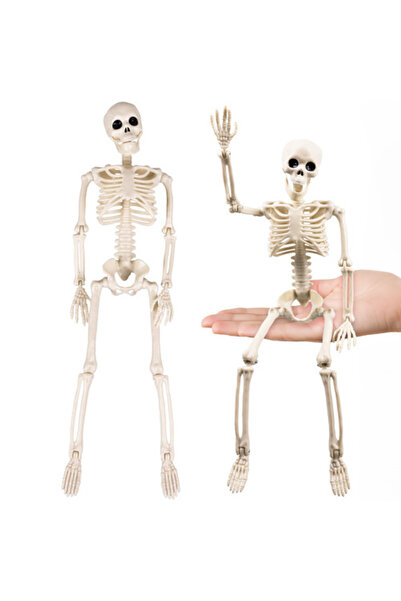 zola Διακόσμηση σκελετού για το Halloween, 40 cm, με κρεμάστρες, ABS, λευκό