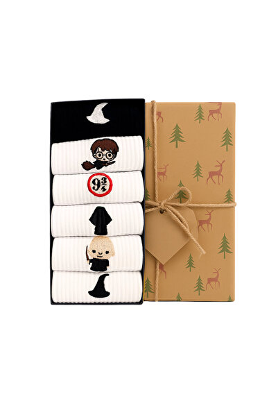 AYDK Harry Potter Collection Embroidered Socks Set of 6 – Summer and Winter Cotton Special Boxed Gift Socks