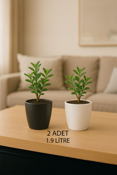 TEMMUZ HOME “2 Adet No:2 –1.9 Litre Tabaksız, Drenaj Izgaralı, Parlak Tasarım...