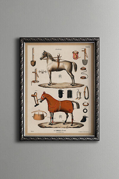 epiqart معدات الخيل - إطار منقوش بتصميم عتيق