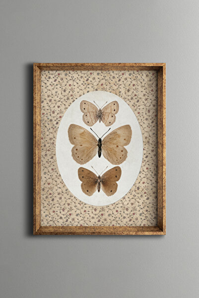 epiqart Butterflies - Vintage Patterned Frame