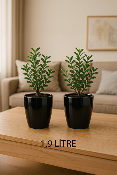 TEMMUZ HOME “2 Adet No:2 –1.9 Litre Tabaksız, Drenaj Izgaralı, Parlak Tasarım...