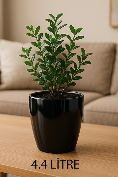 TEMMUZ HOME “1 Adet No:3 –4.4 Litre Tabaksız, Drenaj Izgaralı, Parlak Tasarımlı Dekoratif Bitki ve Çiçek Saksısı