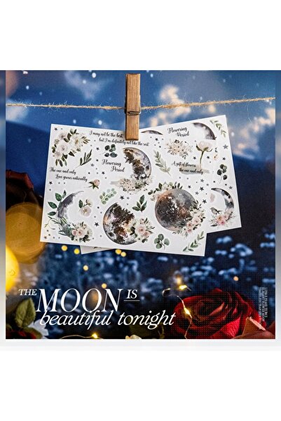 İthal Autocolant de transfer tematic lunar O11-2 - Culoare: verde