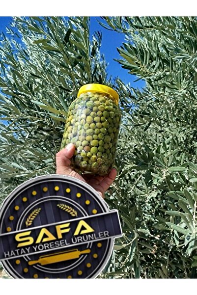 SAFA HATAY YÖRESEL ÜRÜNLER YENİ MAHSUL HATAY HALHALI TÜM TATLANMIŞ YEŞİL ZEYT...