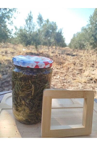 SAFA HATAY YÖRESEL ÜRÜNLER HATAY SALAMURA KEKİK 660 Cc KAVANOZ