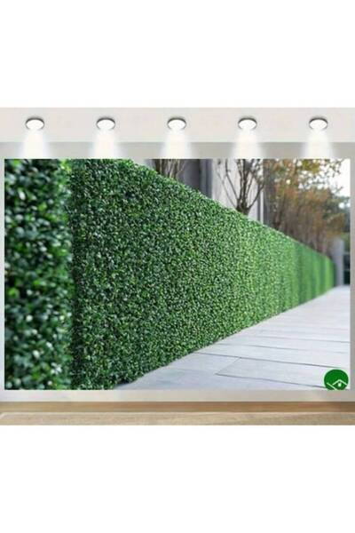 AT Performance Gard viu decorativ artificial cu frunze , 3m x 1m, verde deschis