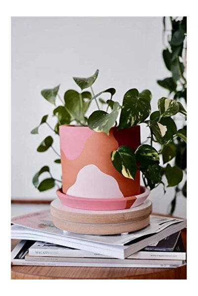 Genel Markalar Terracotta Silindir Saksı+Tabak • Pembenin Tonları (Orta)