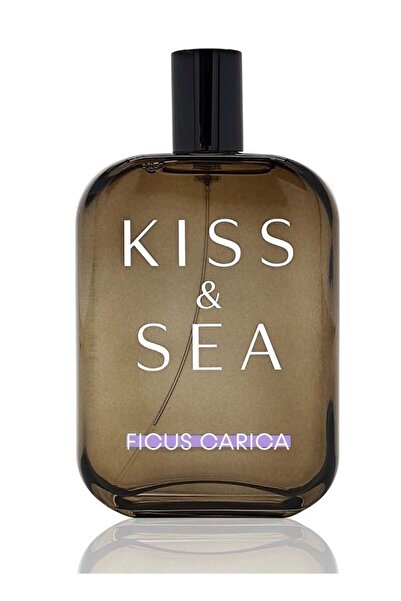 SAMAM PERFUMES ماء عطر كيس آند سي فيكوس كاريكا -100 مل