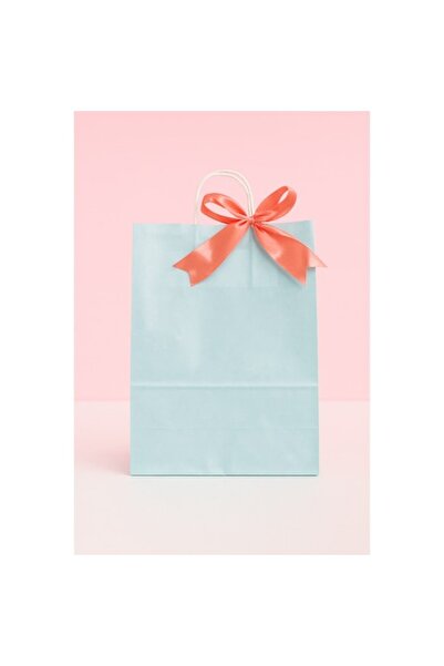 OEM Set 25 pungi cadou mari, hârtie kraft albastră+roz, cu panglică de satin ...