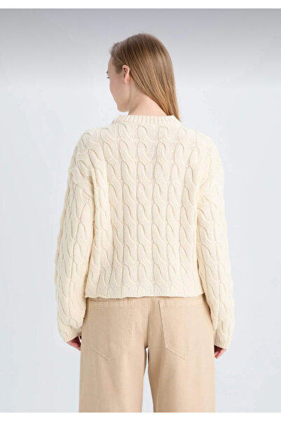 LUSHİGO Crop pentru femei Cool Regular Fit guler rotund Tricoturi împletite cu păr Pulover pentru femei MD571