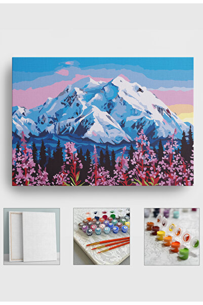 Sulepas Sayılarla Boyama Seti Numaralı Tuval Fırça Boya 40x50 Cm Dağ Manzarası
