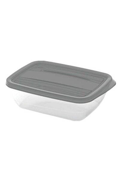 CURVER Food Container, Vedo, Plastic, Rectangular, Transparent + Gray, 1 L
