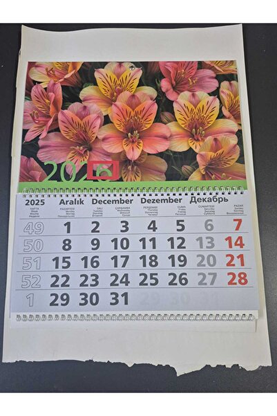 Gıpta 2026 GEMİCİ TAKVİMİ 78X33 GEMİCİ TAKVİMİ 805_BRS